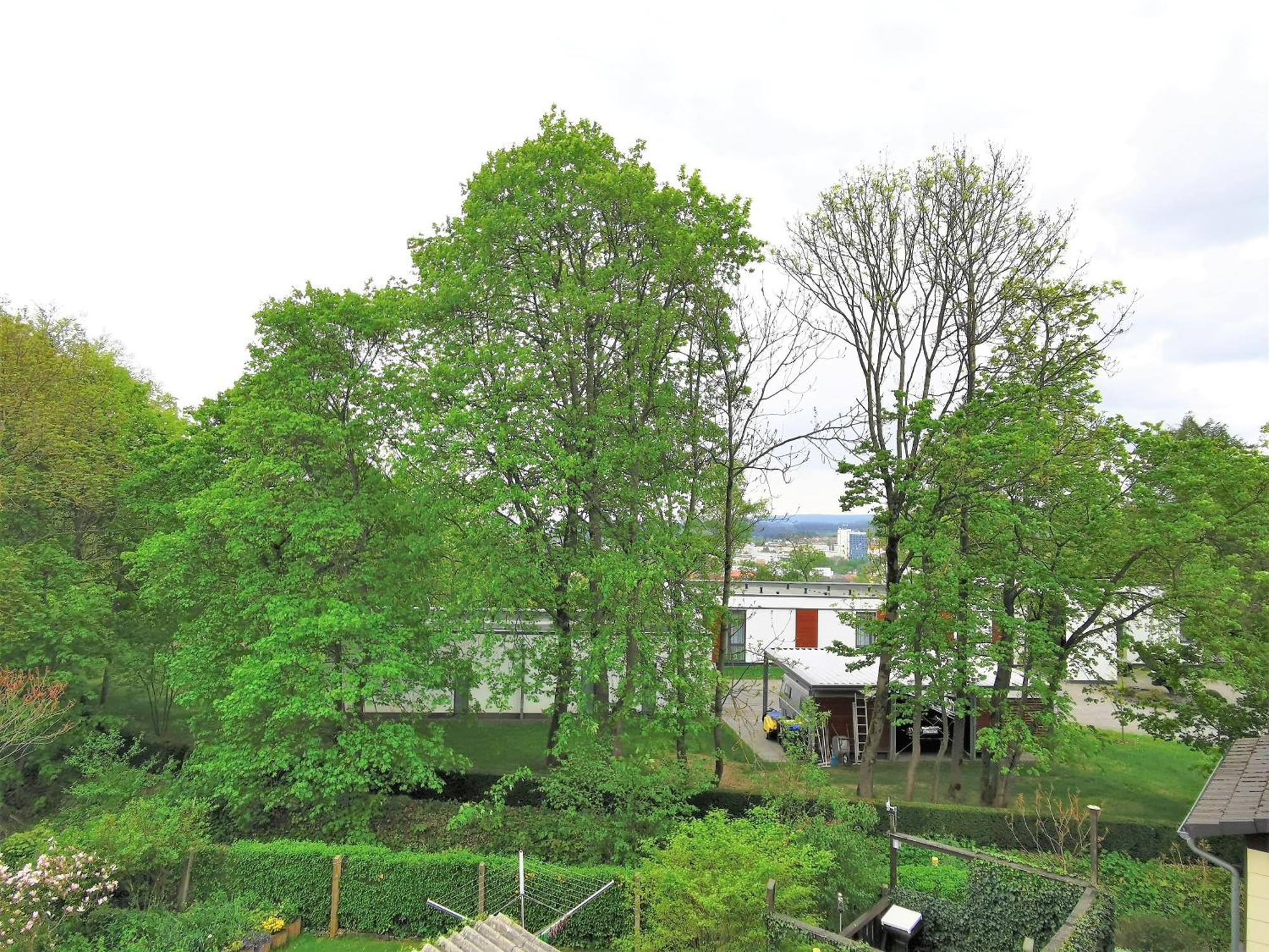 Bohnapartments - Stadtblick Zechenhaus - Balkon - Gratis Parkplatz - Wlan - Sehr Ruhig - Barrierearm Ilmenau Εξωτερικό φωτογραφία